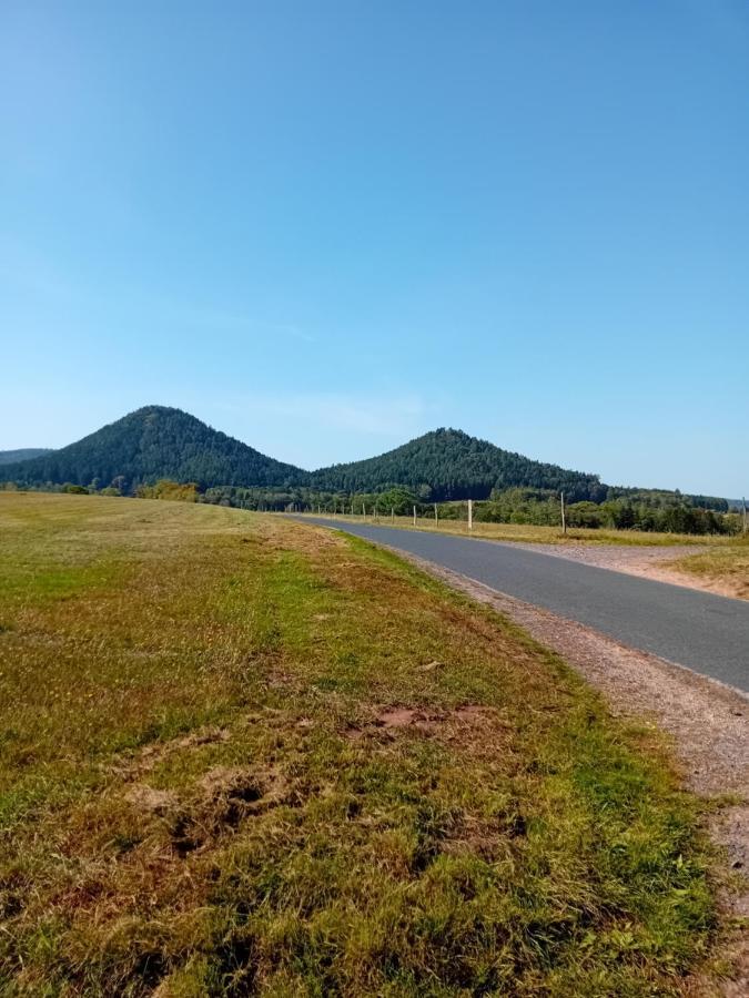 Apartmán La Bienvenue Saint-Michel-sur-Meurthe Exteriér fotografie